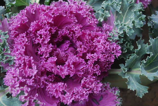 Kale marka Kilitli Çelik Kapı Kale marka Kilitli Çelik Kapı