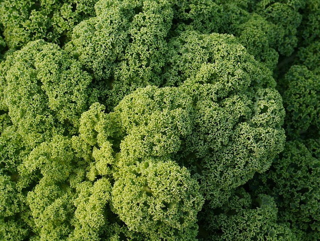 Kale marka Kilitli Çelik Kapı Kale marka Kilitli Çelik Kapı