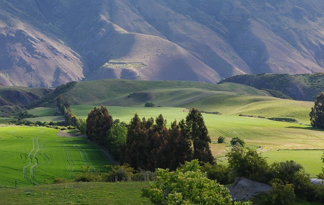 Kilit Değişimi Kilit Değişimi